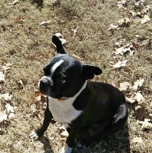 Meet your Posher, Joe